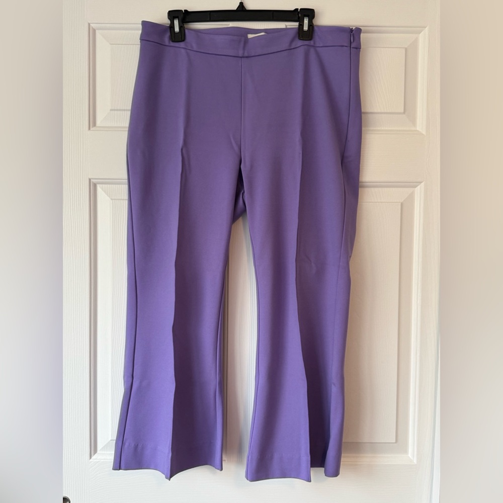Elegant Purple Women's Pants